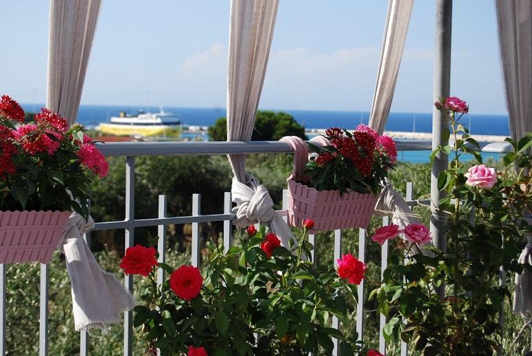 Killini Cottage Studio The Small Cyclades Kastro-Kyllini Экстерьер фото